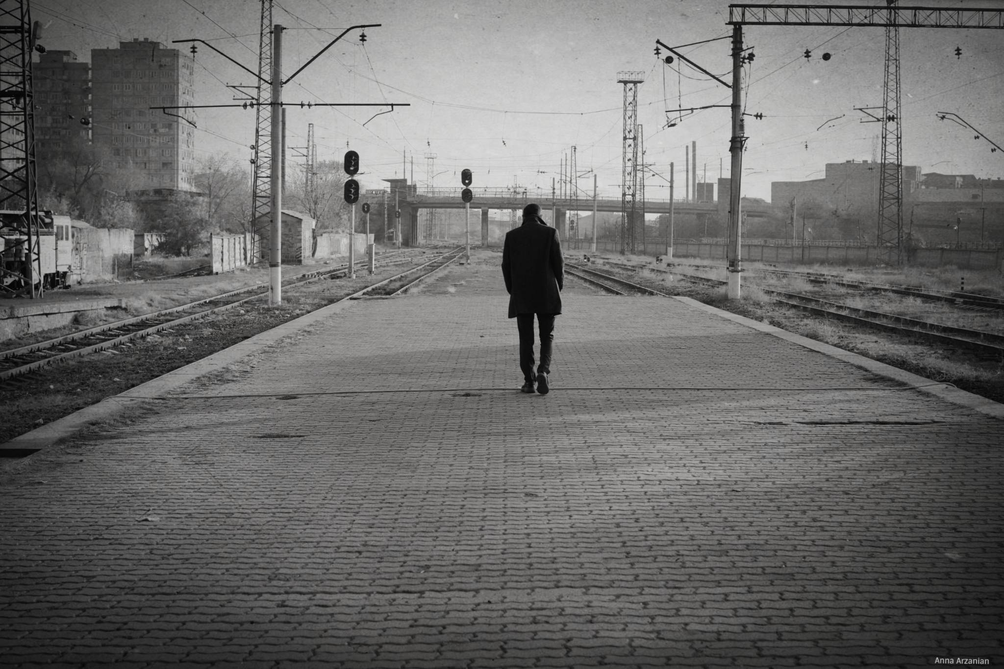 Վի-վա